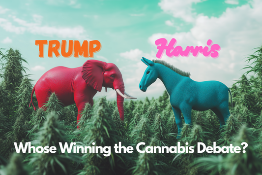 Trump Vs. Harris on Cannabis - Whose Winning the Hearts of Stoners?