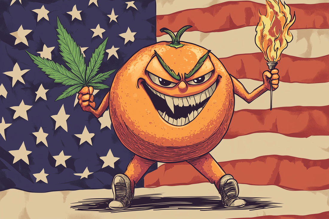 Trump's Return: What It Means for the Future of Cannabis in America