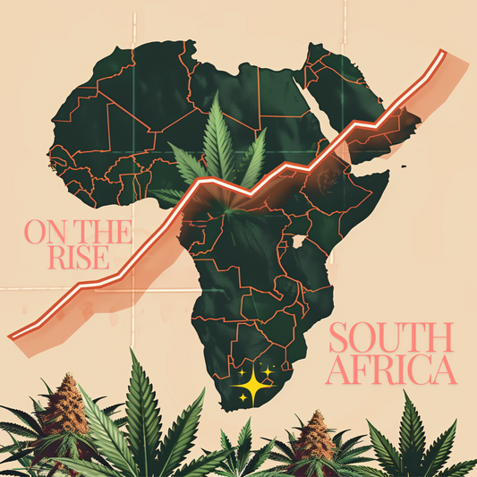Cilo Cybin Makes History as First Medical Cannabis Company on Johannesburg Stock Exchange